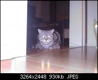 HTC 7 Mozart Kamera - Eure Bilder hier rein-wp_000064.jpg