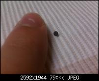 Schraube gelockert bzw. gelöst? - Folge Bügel kaputt-wp_000118.jpg