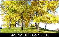 HTC Desire Eye, eure ersten Eindrücke?-imag0130.jpg