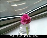 Kameraqualität des Desire HD - Camshots hier rein-tunacat_4_7b91d257f242737c606dac94da9b1468ori.jpg