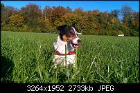 HTC Desire HD - Fotoqualität-imag0029.jpg