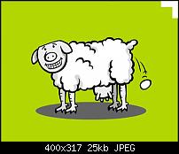 HTC Desire HD vs. Samsung Galaxy S-wollmilchsau1.jpg