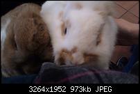 HTC Desire HD - Fotoqualität-imag0066.jpg