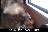 HTC Desire HD - Fotoqualität-imag0020.jpg