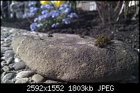 Bilder gemacht mit dem HTC Desire-imag0010.jpg