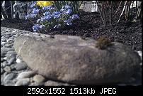 Bilder gemacht mit dem HTC Desire-imag0011.jpg