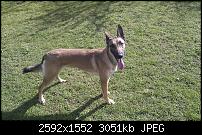 Bilder gemacht mit dem HTC Desire-imag0012.jpg