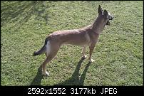 Bilder gemacht mit dem HTC Desire-imag0014.jpg