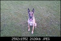 Bilder gemacht mit dem HTC Desire-imag0023.jpg