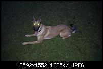 Bilder gemacht mit dem HTC Desire-imag0033.jpg