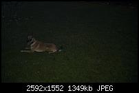 Bilder gemacht mit dem HTC Desire-imag0034.jpg