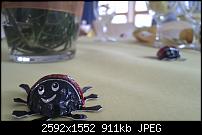 HTC Desire Erfahrungsberichte-imag0004.jpg