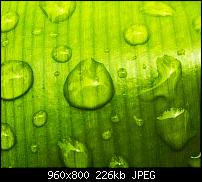 !!! Der GROSSE Wallpaper-Thread für das HTC Desire !-more-waterdrops.jpg