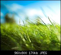!!! Der GROSSE Wallpaper-Thread für das HTC Desire !-onesummer23bg96.jpg