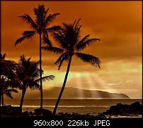 !!! Der GROSSE Wallpaper-Thread für das HTC Desire !-hawaii.jpg