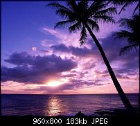 !!! Der GROSSE Wallpaper-Thread für das HTC Desire !-lila-sunset.jpg
