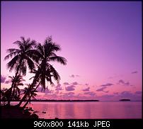 !!! Der GROSSE Wallpaper-Thread für das HTC Desire !-pink-sunset.jpg