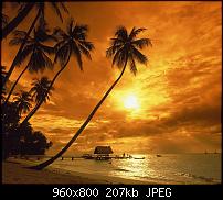 !!! Der GROSSE Wallpaper-Thread für das HTC Desire !-tobago.jpg