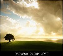!!! Der GROSSE Wallpaper-Thread für das HTC Desire !-enlightenment.jpg