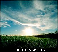 !!! Der GROSSE Wallpaper-Thread für das HTC Desire !-grassy_sunset.jpg