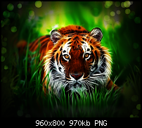 !!! Der GROSSE Wallpaper-Thread für das HTC Desire !-tiger_h0ckey.png