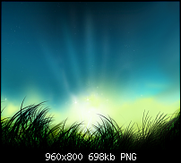 !!! Der GROSSE Wallpaper-Thread für das HTC Desire !-summerrise_h0ckey.png