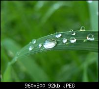 !!! Der GROSSE Wallpaper-Thread für das HTC Desire !-stitch-grass.jpg