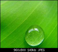 !!! Der GROSSE Wallpaper-Thread für das HTC Desire !-one_drop.jpg