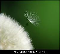 !!! Der GROSSE Wallpaper-Thread für das HTC Desire !-mornings.jpg