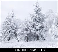 !!! Der GROSSE Wallpaper-Thread für das HTC Desire !-snow_scene_at_shipka_pass_white.jpg