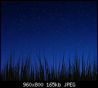 !!! Der GROSSE Wallpaper-Thread für das HTC Desire !-wallpaper_grass_night.jpg