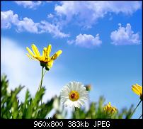 !!! Der GROSSE Wallpaper-Thread für das HTC Desire !-008.jpg