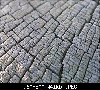 !!! Der GROSSE Wallpaper-Thread für das HTC Desire !-wood_end_grain.jpg