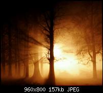 !!! Der GROSSE Wallpaper-Thread für das HTC Desire !-ghostfog.jpg