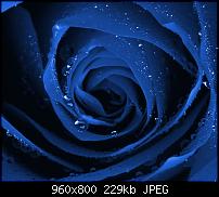 !!! Der GROSSE Wallpaper-Thread für das HTC Desire !-blau2.jpg