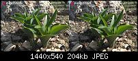 3D Effekte rauskommend?-phereo00004.jpg