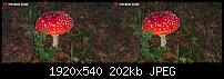 3D Effekte rauskommend?-phereo00006.jpg