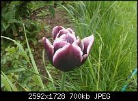 HTC Touch HD mini Review-imag0071.jpg