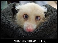 RAM SPEICHER und Autostart-programme-2650587592_7b8b336e5e.jpg