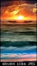 Wallpaper-Sammlung-tropical.jpg