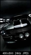 Wallpaper-Sammlung-shelby.jpg