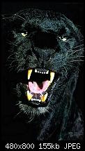 Wallpaper-Sammlung-blackpanther.jpg