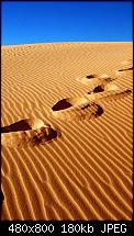 Wallpaper-Sammlung-desert.jpg