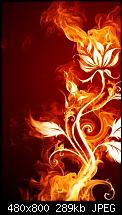 Wallpaper-Sammlung-fire-flower.jpg