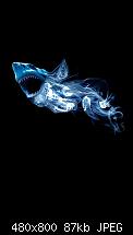 Wallpaper-Sammlung-haiskinsdfs.jpg