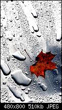 Wallpaper-Sammlung-wet_window.jpg