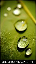 Wallpaper-Sammlung-drop_of_life.jpg
