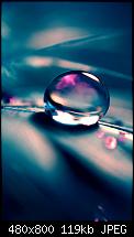 Wallpaper-Sammlung-nature_rain.jpg