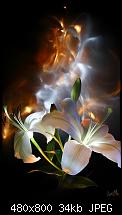 HD2-Modding: zeigt her Eure &quot;Heute&quot;-Screens!-flowers-n-light.jpg