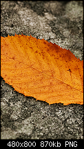 Wallpaper-Sammlung-normal4.png